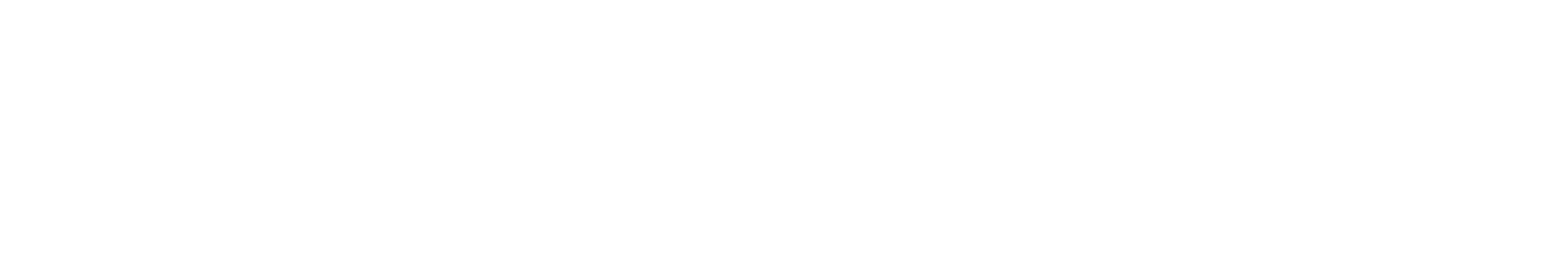 Hornig Partners | Sotheby's International Realty